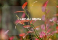 CSGO莫名被人添加好友