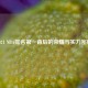 2021 NBA排名之一背后的荣耀与实力密码