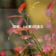 探秘，LOL里1的含义