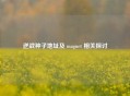 逆战种子地址及 magnet 相关探讨