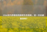 PUBG封几秒背后的游戏生态危机，封一天会被追封吗？