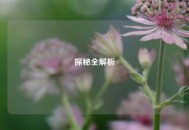 探秘全解析