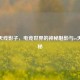 CSGO天线影子，电竞世界的神秘魅影与cs天线揭秘