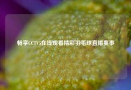 畅享CCTV5在线观看精彩羽毛球直播赛事