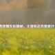 王者荣耀车标揭秘，王者标志究竟是什么？