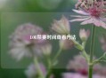 LOL禁赛时间查看     