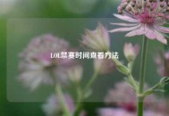 LOL禁赛时间查看     