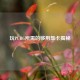 玩PUBG所需的够用显卡揭秘