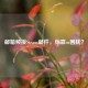 邮箱频接Steam邮件，惊喜or困扰？