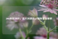 2008年欧洲杯，意大利钢铁之师阵容全解析