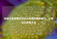 探秘王者荣耀空白名与表情的独特魅力，王者空白表情大全
