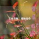 王者荣耀，猎艳传奇