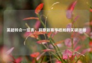 英超转会一览表，洞察新赛季格局的关键拼图