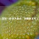 Steam喜加一游戏大盘点，你薅到羊毛了吗？