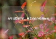 和平精英版手机，开启游戏体验新巅峰
