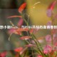 联想小新Pro16，与PUBG共绘热血青春影像