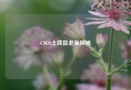 CSGO土拨鼠老巢探秘