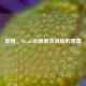 警惕，Steam余额倒卖背后的黑幕