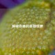 探秘会跑的英雄世界