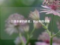 三国杀里的老虎，风云中的小虎