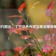 2016里约奥运，丁宁的乒乓球女单冠军荣耀之战