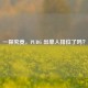 一探究竟，PUBG 出单人排位了吗？