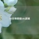 当炎帝降临LOL战场
