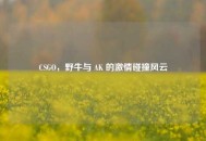 CSGO，野牛与 AK 的***碰撞风云
