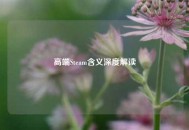 高端Steam含义深度解读