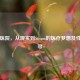 爱心医院，从现实到Steam的医疗梦想及性质探寻