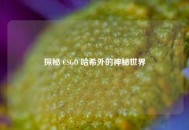 探秘 CSGO 哈希外的神秘世界