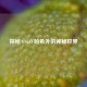 探秘 CSGO 哈希外的神秘世界