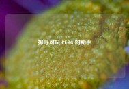 探寻可玩 PUBG 的助手