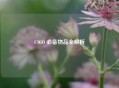 CSGO 必备物品全解析