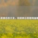 LOL英雄名称大全，绘就峡谷英雄绚丽画卷