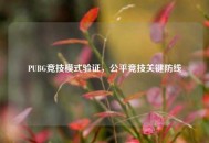 PUBG竞技模式验证，公平竞技关键防线