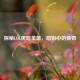 探秘LOL黑暗英雄，暗影中的传奇