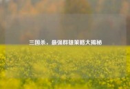 三国杀，最强群雄策略大揭秘
