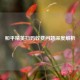 和平精英扫码收费问题深度解析