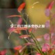 李二的三国杀奇妙之旅
