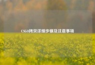 CSGO拷贝详细步骤及注意事项