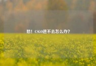 愁！CSGO进不去怎么办？