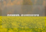 逆战加血宠物，战斗中的生命守护者