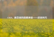 CSGO，被忽视的隐藏神器——战场利刃
