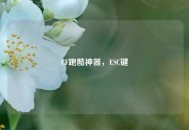 CF跑酷神器，ESC键