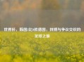 世界杯，韩国2比0胜德国，拼搏与争议交织的足球之旅