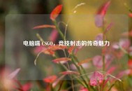 电脑端 CSGO，竞技射击的传奇魅力