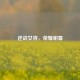 逆战女将，荣耀谢幕