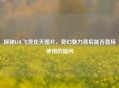 探秘LOL飞龙在天图片，奇幻魅力背后能否直接使用的疑问