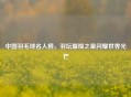 中国羽毛球名人榜，羽坛璀璨之星闪耀世界光芒